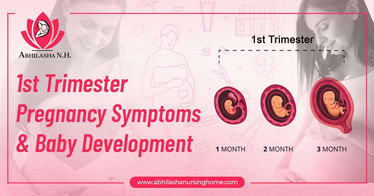 1st trimester Pregnancy Symptoms