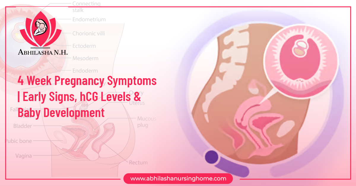 4 Week Pregnancy Symptoms