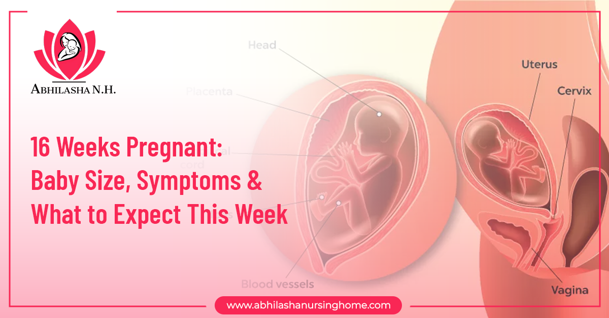 16 Weeks Pregnancy Symptoms & Signs