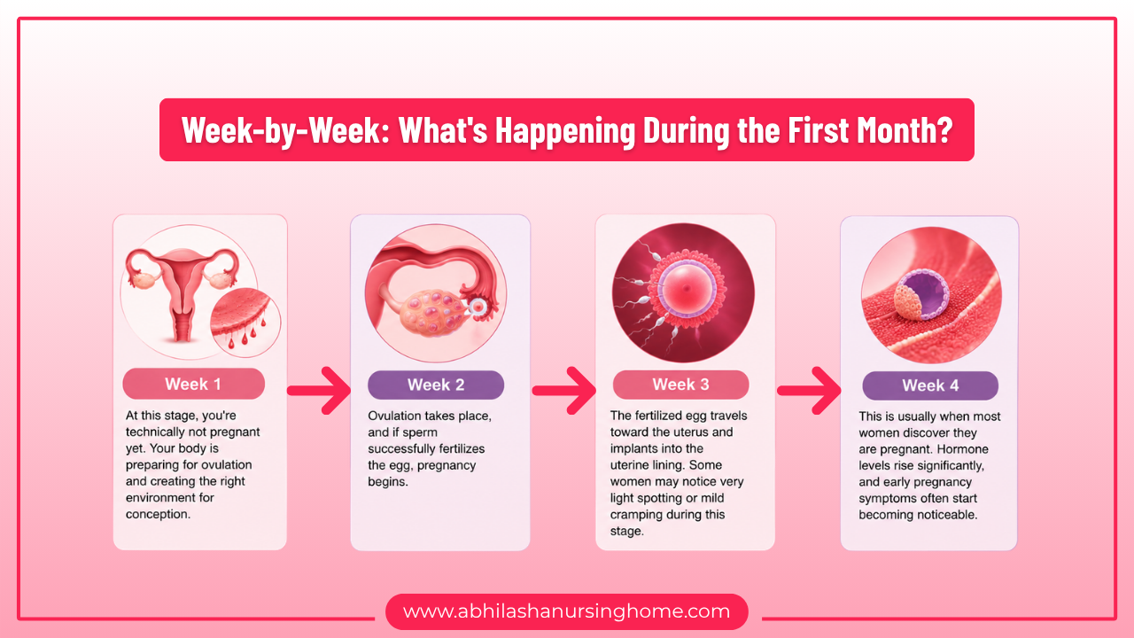 Week-by-Week What's Happening During the 1 Month Pregnancy?