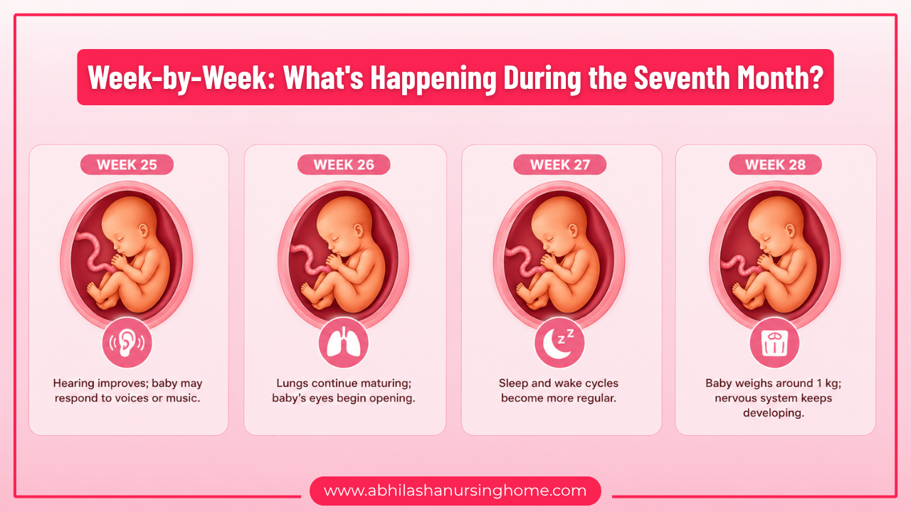 Week-by-Week: What's Happening During the Seventh Month