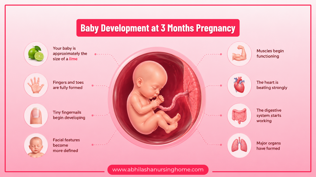 3 Months Pregnancy Symptoms, Baby Development, Diet, Test, Sleeping Position 2 Baby Development at 3 Months Pregnancy