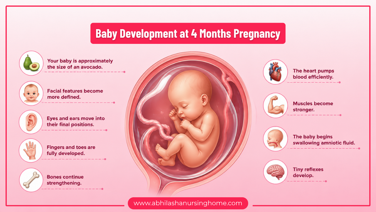 Baby Development at 4 Months Pregnancy