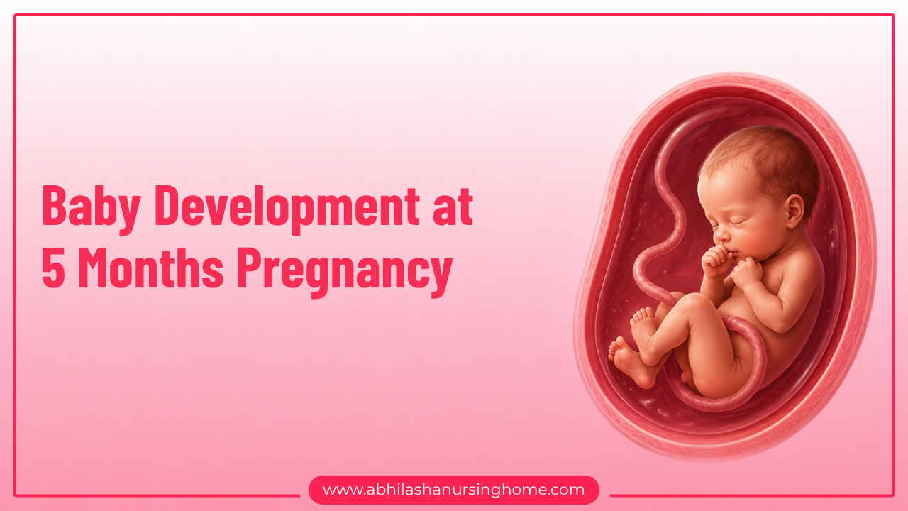 5 Months Pregnancy Symptoms, Baby Development, Diet, & Checkups 2 Baby Development at 5 Months Pregnancy