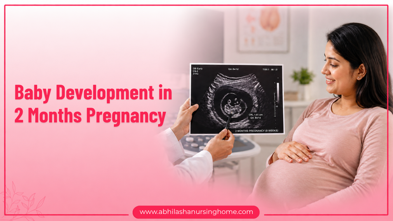 Baby Development in 2 Months Pregnancy