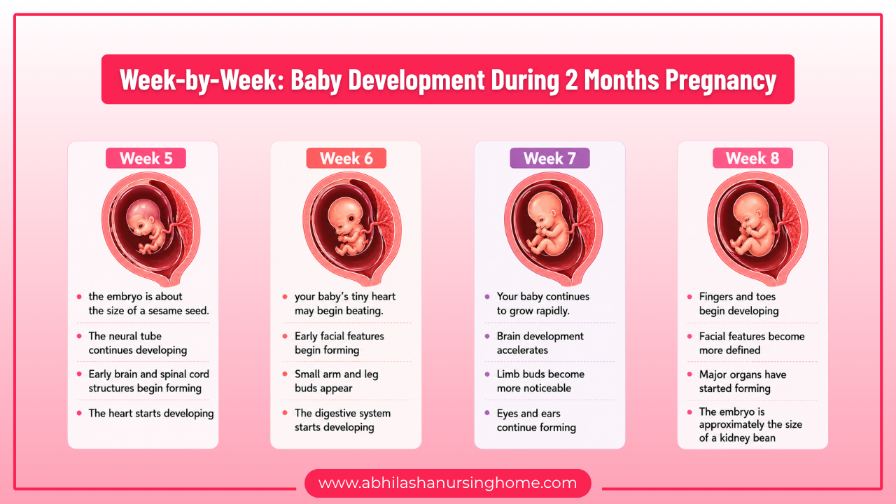 Week-by-Week Baby Development During 2 Months Pregnancy