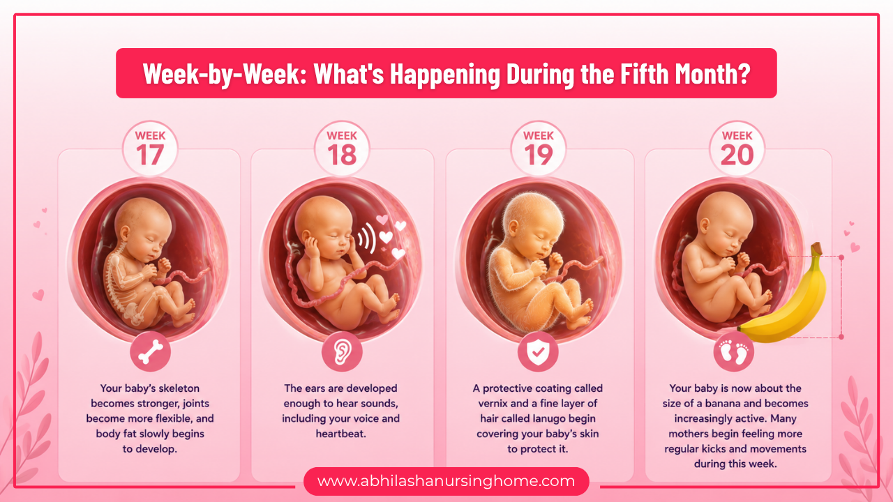 5 Months Pregnancy Symptoms, Baby Development, Diet, & Checkups 1 Week-by-Week What's Happening During the Fifth Month