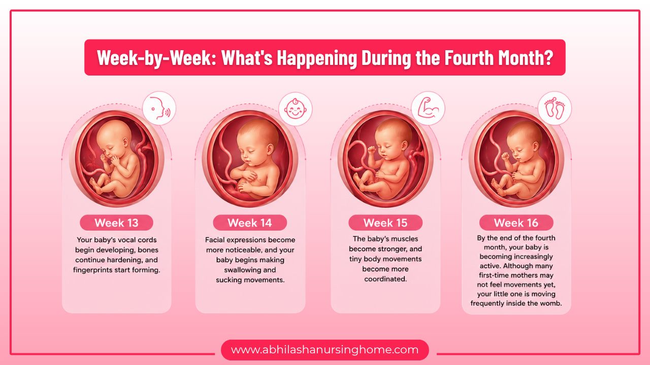 Week-by-Week What's Happening During the Fourth Month