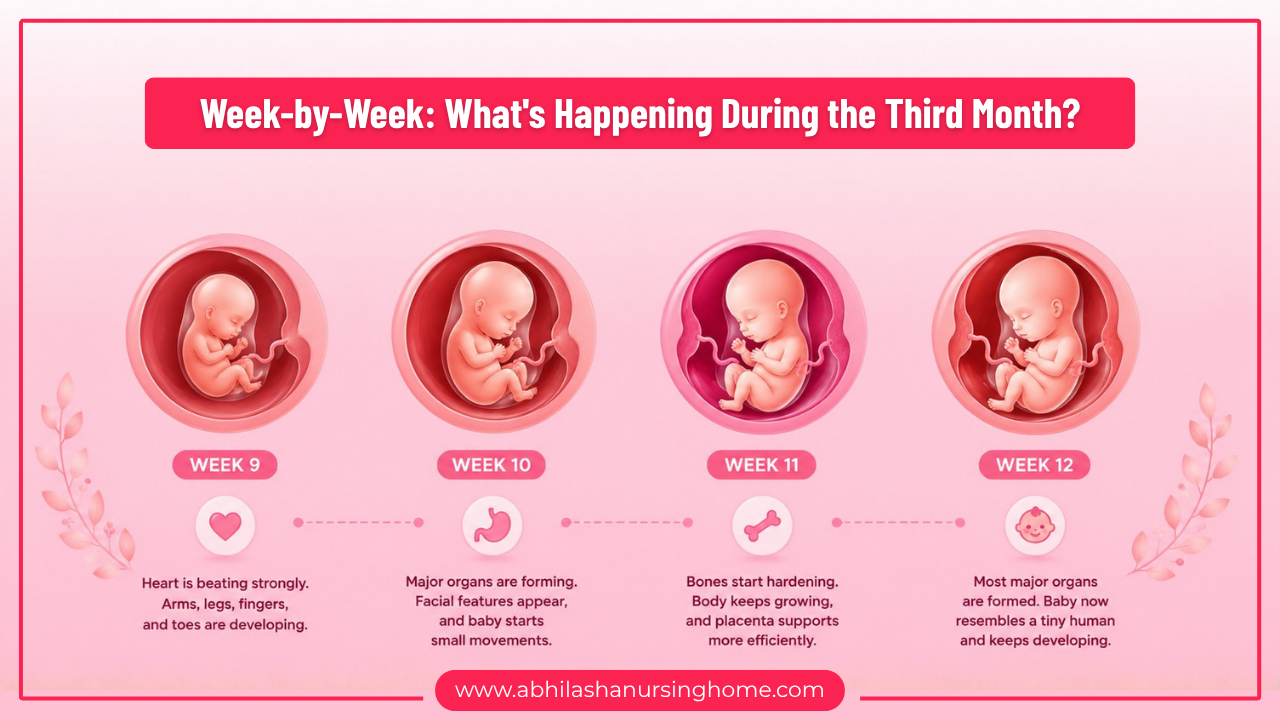 3 Months Pregnancy Symptoms, Baby Development, Diet, Test, Sleeping Position 1 Week-by-Week What's Happening During the Third Month?