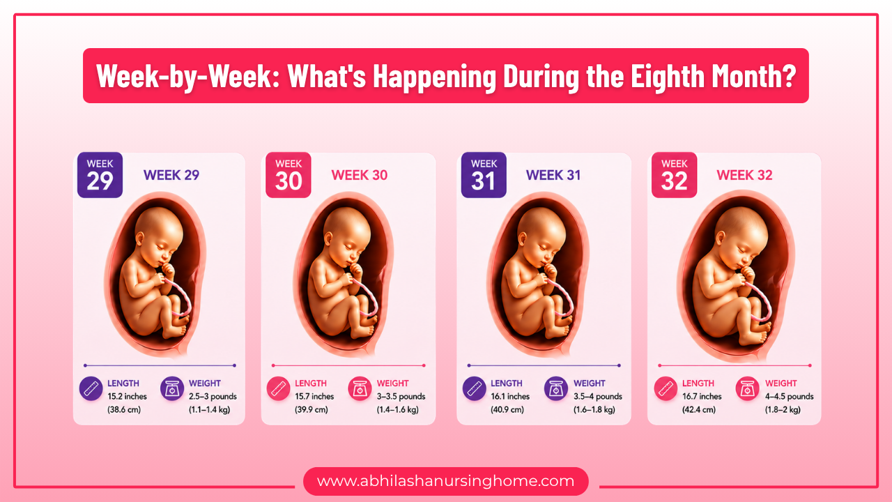Week-by-Week: What's Happening During the Eighth Month?