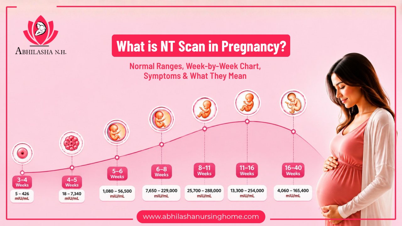 What is NT Scan in Pregnancy?